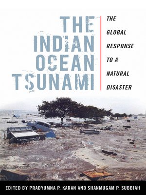 cover image of The Indian Ocean Tsunami